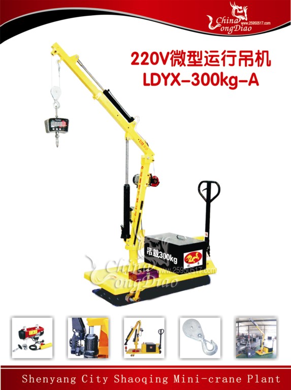 ΢\еCLDYX-300KG-A  